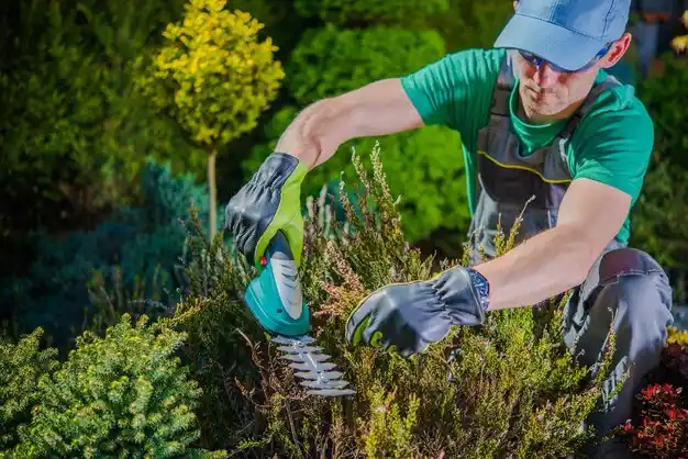 landscaping services Mechanicville